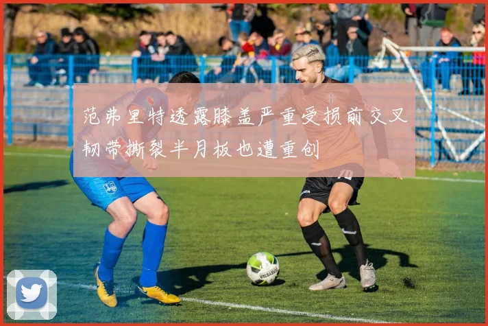 范弗里特透露膝盖严重受损前交叉韧带撕裂半月板也遭重创